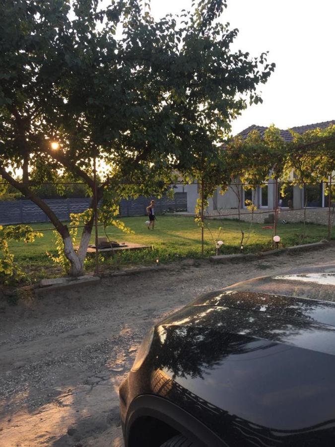 Hotel La Olteanu Vadu Zewnętrze zdjęcie